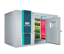 > </div>
<div class=